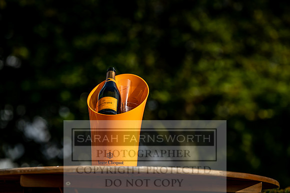 GUK Goodwood Sale 2019-192