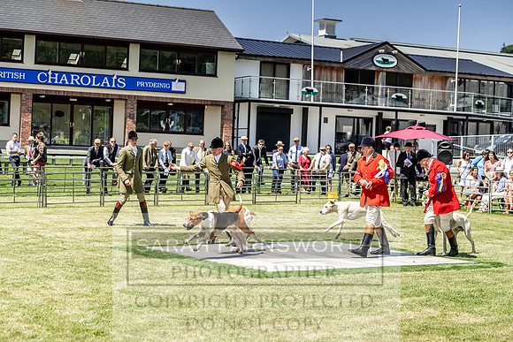 Builth Hound Show 2019-128