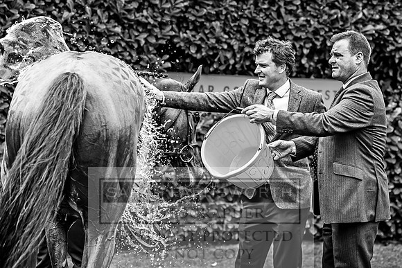 GUK Goodwood Sale 2019-33