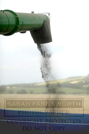combining r-oil 023