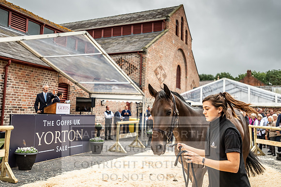 GUK Yorton Sale 2019-307