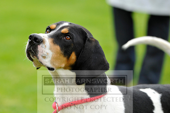 Rydal 2014 CF2 1003