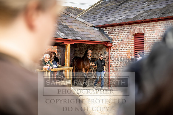 GUK Yorton Sale 2019-349