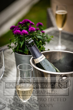 Goffs UK PY24-425