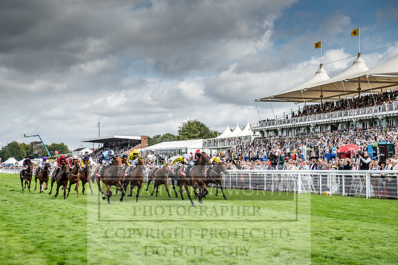 GUK Goodwood Sale 2019-104