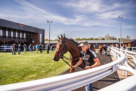Goffs UK Breeze Up 2022-357