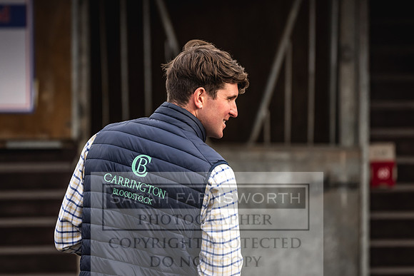 Goffs UK PY24-32