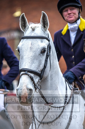 Ludlow 261215-60