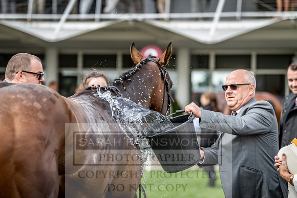GUK Goodwood Sale 2019-112