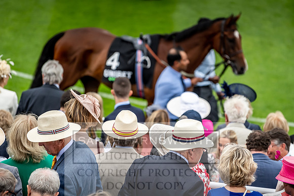 GUK Goodwood Sale 2019-40