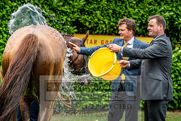 GUK Goodwood Sale 2019-32