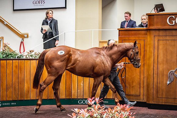 Goffs UK Breeze Up 2022-202