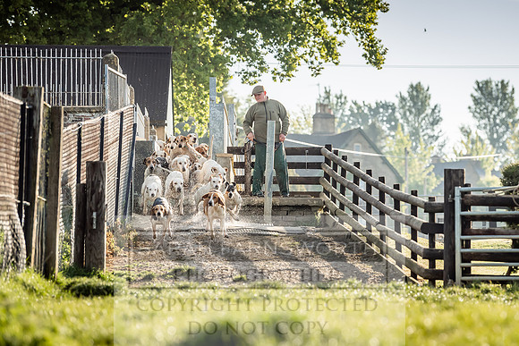 Heythrop Kennels-2