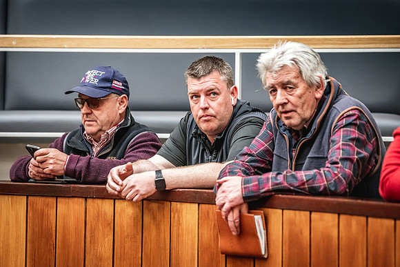 Goffs UK Breeze Up 2022-339