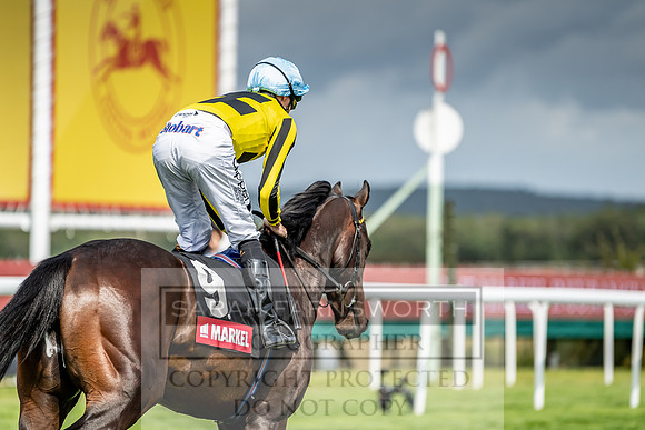 GUK Goodwood Sale 2019-95