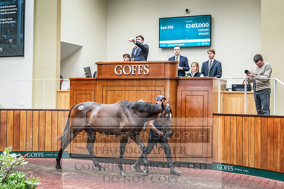 Goffs UK PY24-417