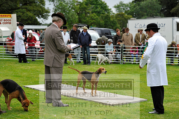 Rydal 2014 CF2 421