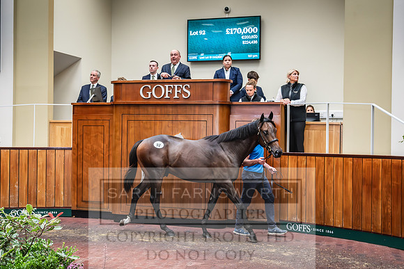 Goffs UK PY24-146