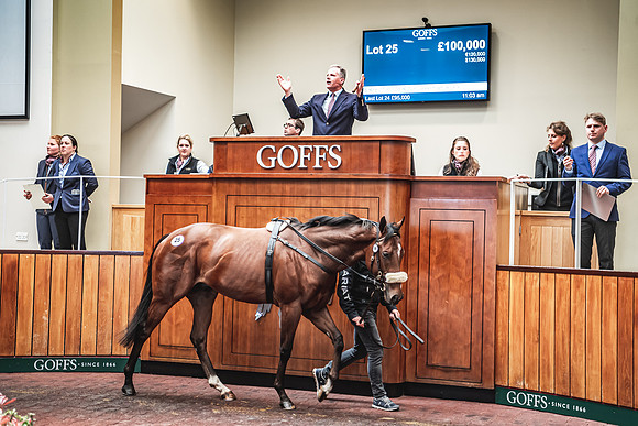 Goffs UK Breeze Up 2022-242