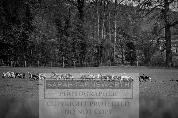 Ludlow 261215-521 bw