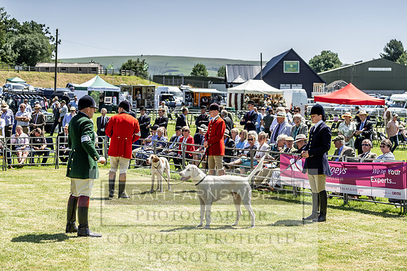 Builth Hound Show 2019-113