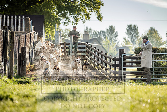 Heythrop Kennels-5