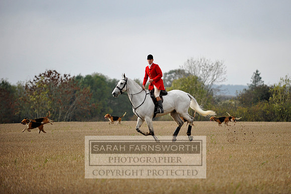 Brocklesby 021113 CF3 593