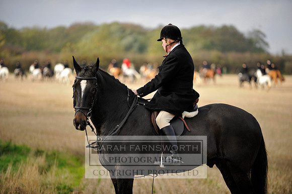 Brocklesby 021113 CF3 640