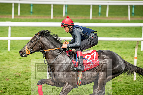 GUK Breeze Up 2018-228