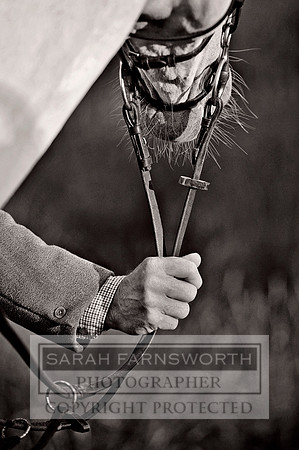 DWFH 140813 524 bw