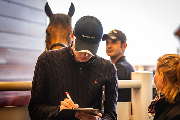 Goffs UK Breeze Up 2022-304