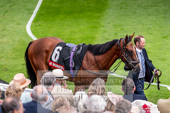 GUK Goodwood Sale 2019-1