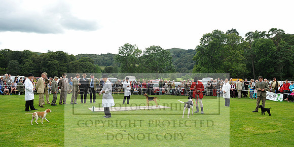 Rydal 2014 CF1 517