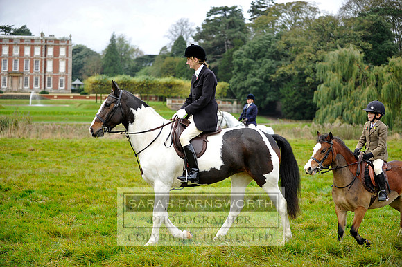 Brocklesby 021113 CF3 417