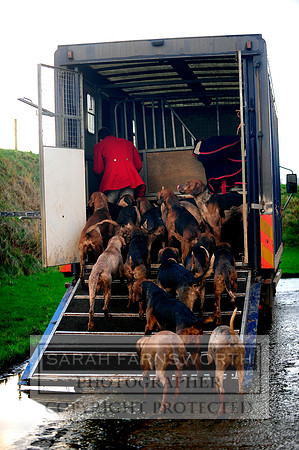 TFH 291212 198
