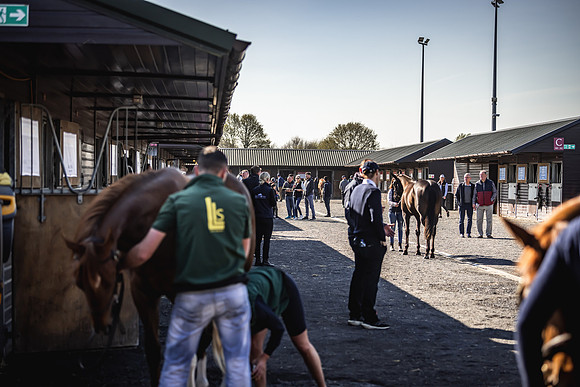 Goffs UK Breeze Up 2022-130