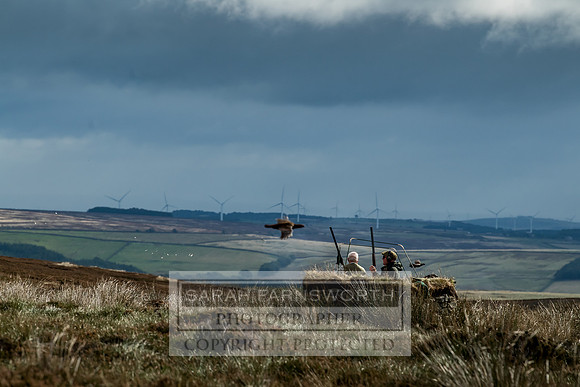 Wolsingham Roxtons 070918-128