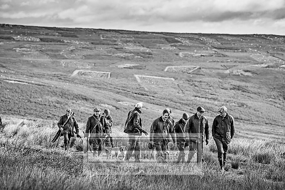 Wolsingham Roxtons 070918-263