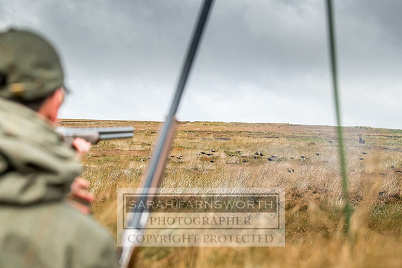 Wolsingham Roxtons 070918-314