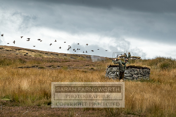 Wolsingham Roxtons 070918-419