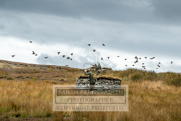 Wolsingham Roxtons 070918-424