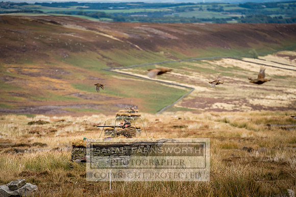 Wolsingham Roxtons 070918-433