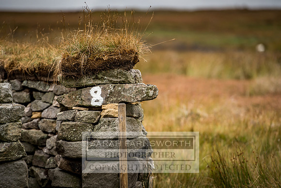 Wolsingham Roxtons 070918-474