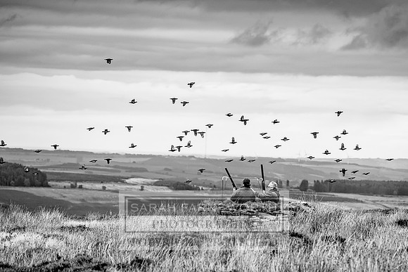 Wolsingham Roxtons 070918-514