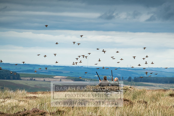 Wolsingham Roxtons 070918-515