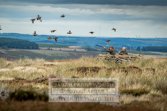 Wolsingham Roxtons 070918-518