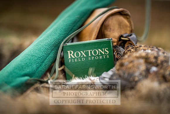 Wolsingham Roxtons 070918-533