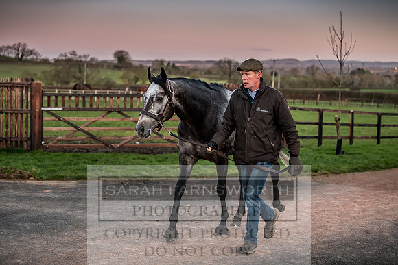 Tweenhills January 2019-44