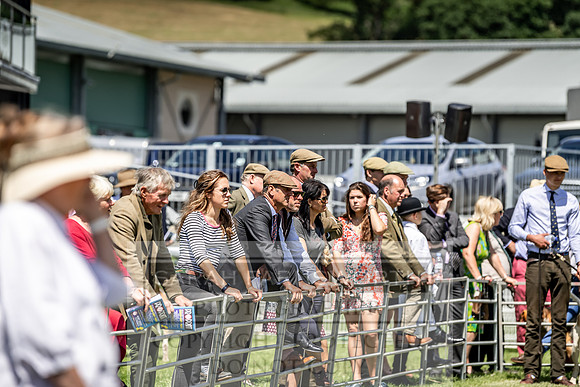 Builth Hound Show 2019-112