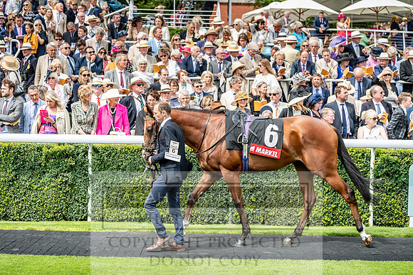 GUK Goodwood Sale 2019-77